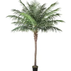 Tekopuu Home4You WIND PALM K260 cm, vihreä