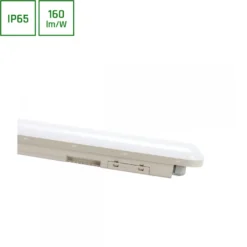 Teollisuusvalaisin Spectrum Limea Connect tiivistetty 120° IP65 IK08 harmaa, eri vaihtoehtoja