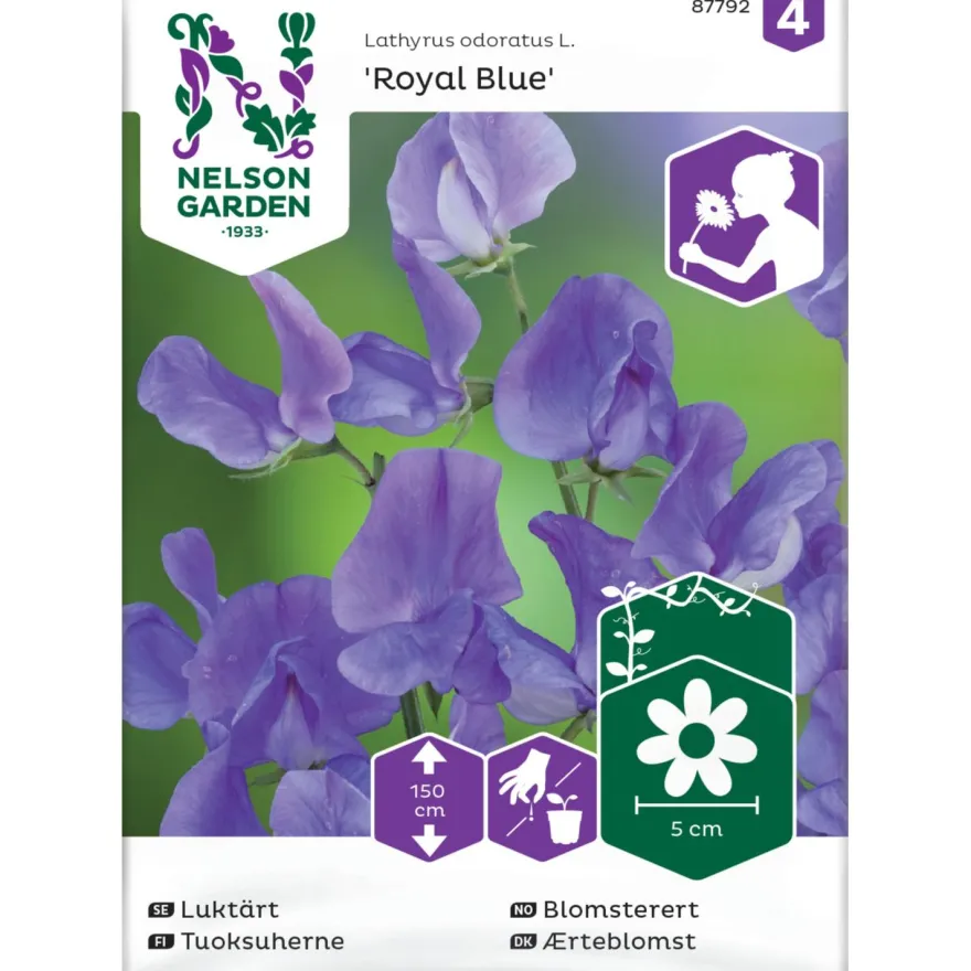 Tuoksuherne Nelson Garden Royal Blue, siemenet
