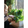 Vesiviljelylaatikko Nelson Garden Harvy3, 39cm, valkoinen