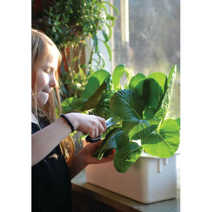 Vesiviljelylaatikko Nelson Garden Harvy3, 39cm, valkoinen