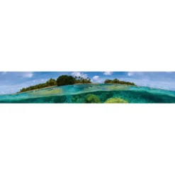 Välitilatarra Dimex Coral Reef, 180-350x60cm