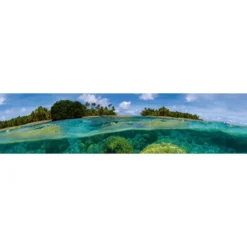 Välitilatarra Dimex Coral Reef, 180-350x60cm