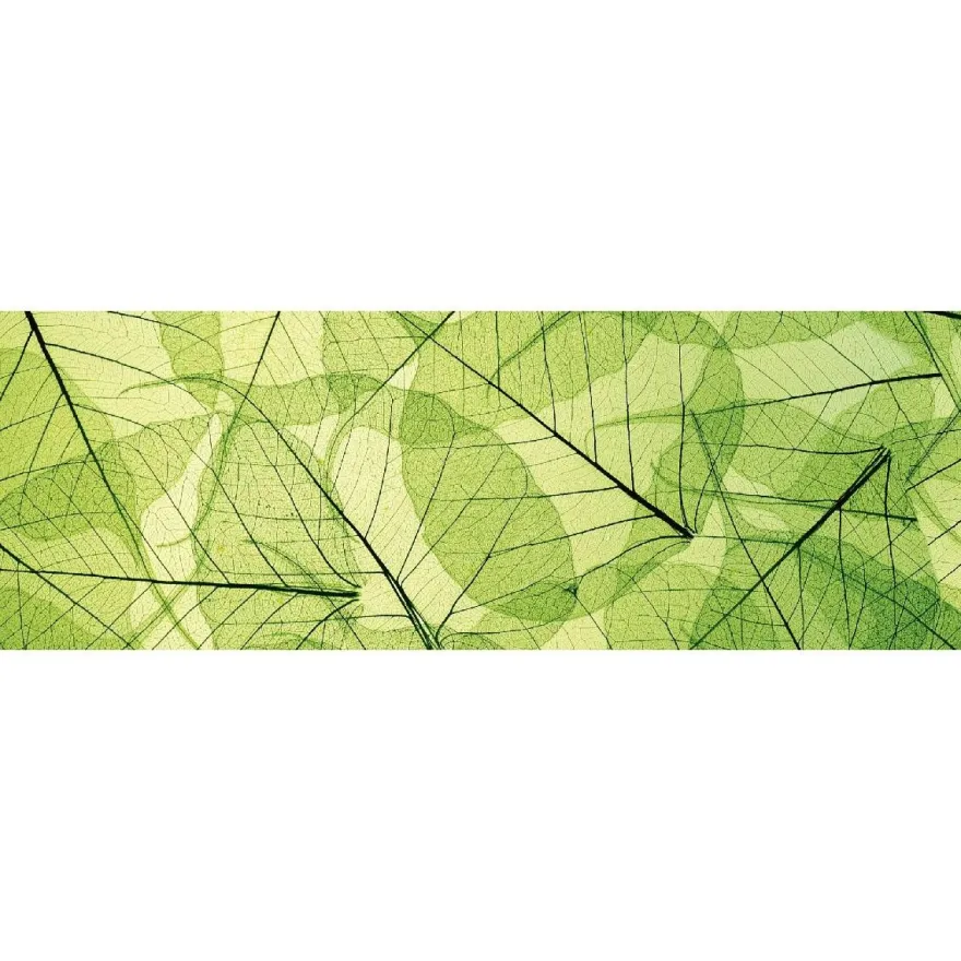 Välitilatarra Dimex Leaf Veins, 180-350x60cm