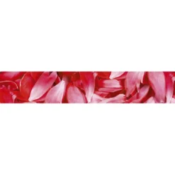 Välitilatarra Dimex Red Petals, 180-350x60cm