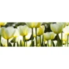 Välitilatarra Dimex White Tulips, 180-350x60cm