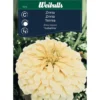 Zinnia Weibulls Isabellina